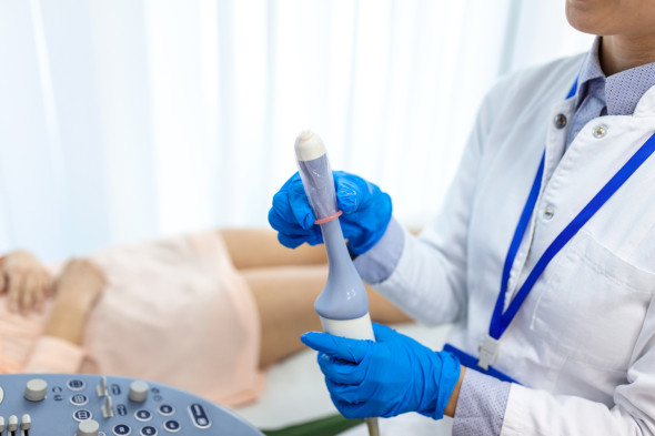 Échographie gynécologique 