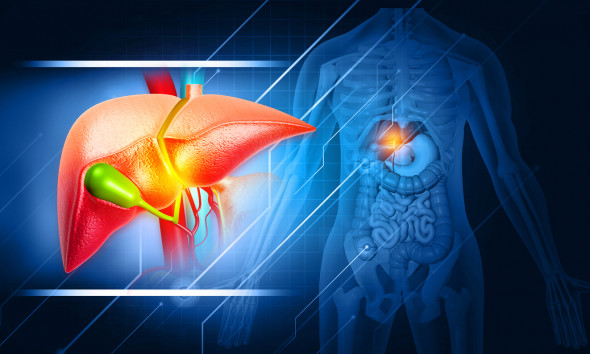 Inflammation des petits canaux biliaires (cholangite biliaire primitive) et dommages au foie
