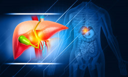 Inflammation des petits canaux biliaires (cholangite biliaire primitive) et dommages au foie
