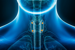 Trop de calcium dans le sang (hypercalcémie) et hyperactivité des glandes parathyroïdes (hyperparathyroïdie)